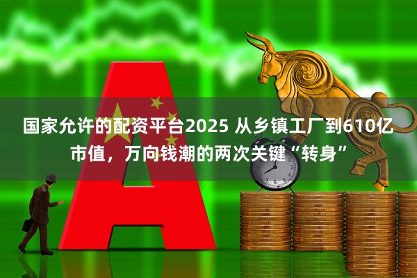 国家允许的配资平台2025 从乡镇工厂到610亿市值，万向钱潮的两次关键“转身”