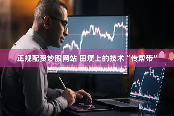 正规配资炒股网站 田埂上的技术“传帮带”