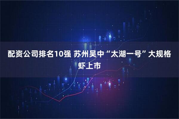 配资公司排名10强 苏州吴中“太湖一号”大规格虾上市